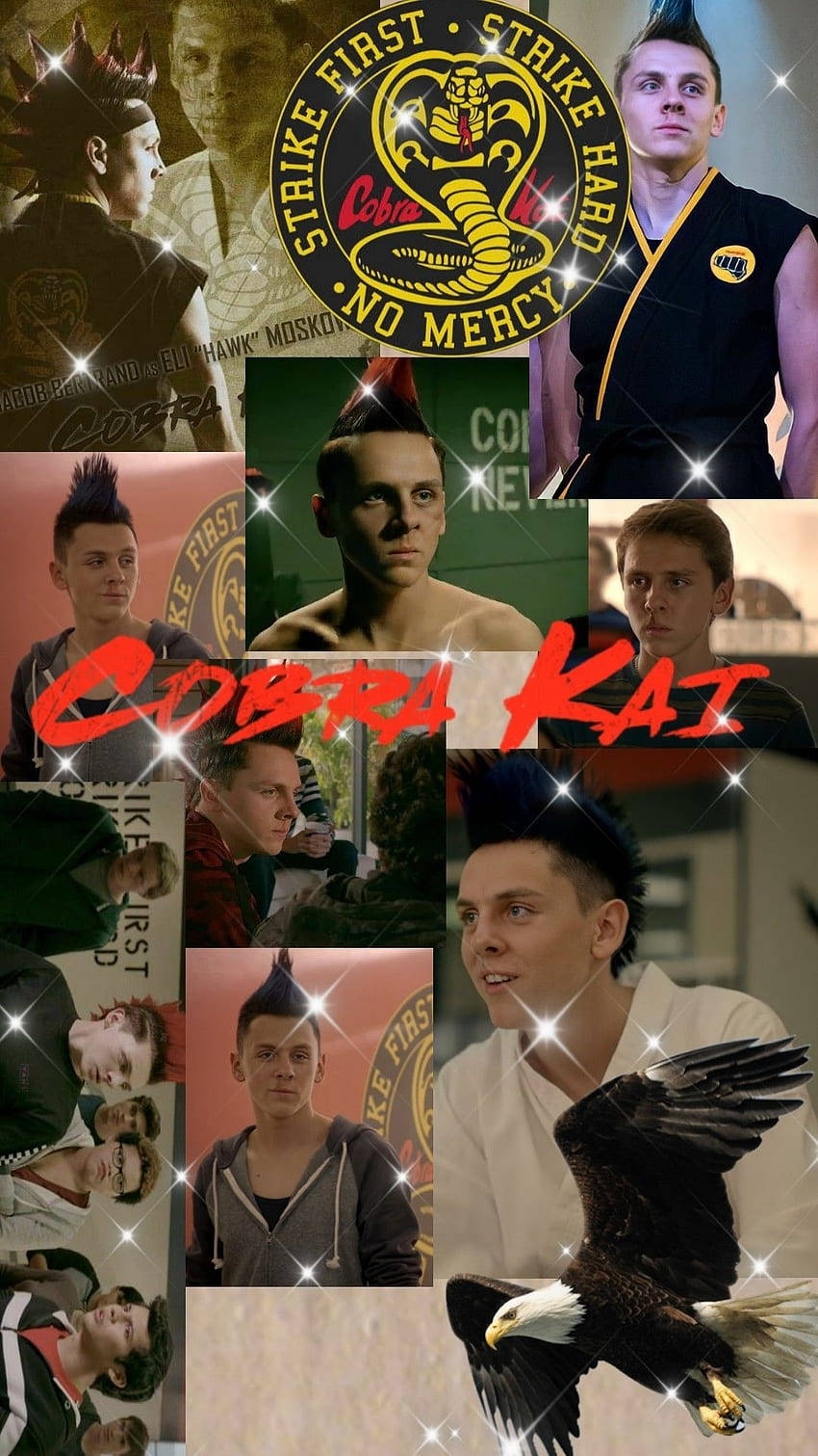 Cobra Kai Phone 850 X 1511 Wallpaper Wallpaper