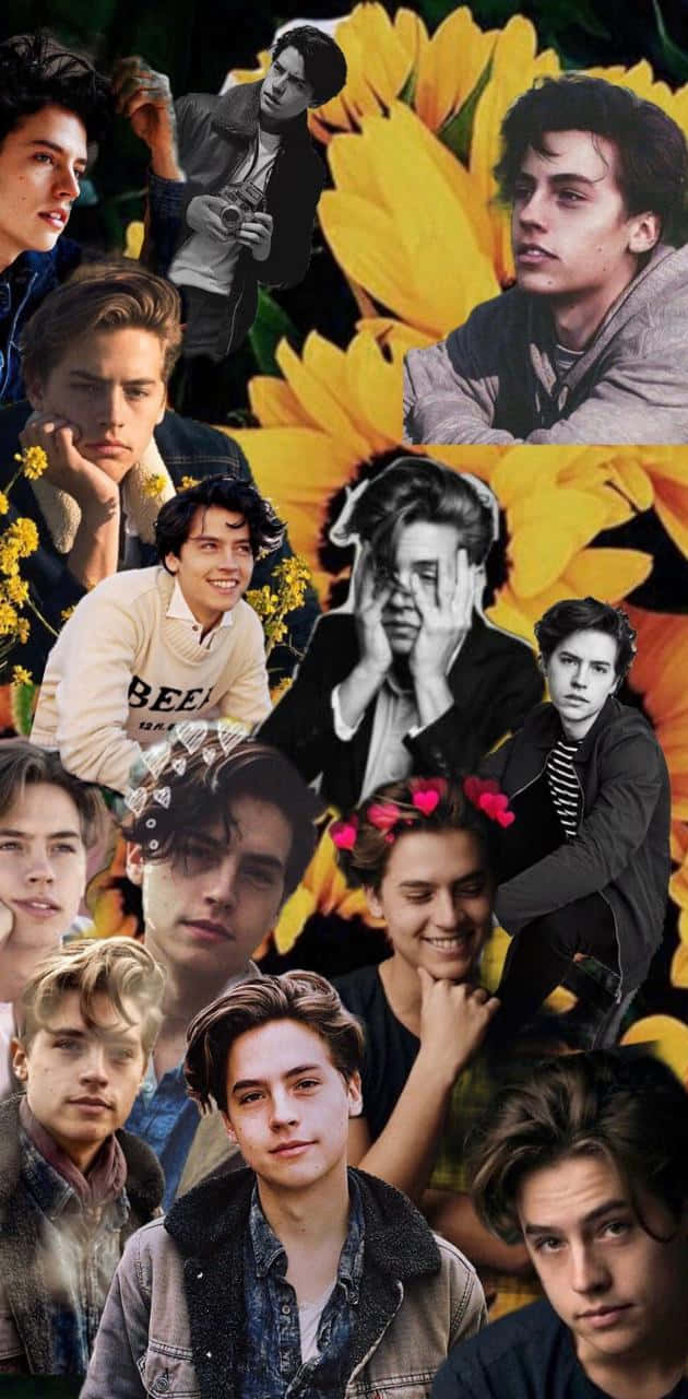 Cole Sprouse Wallpaper