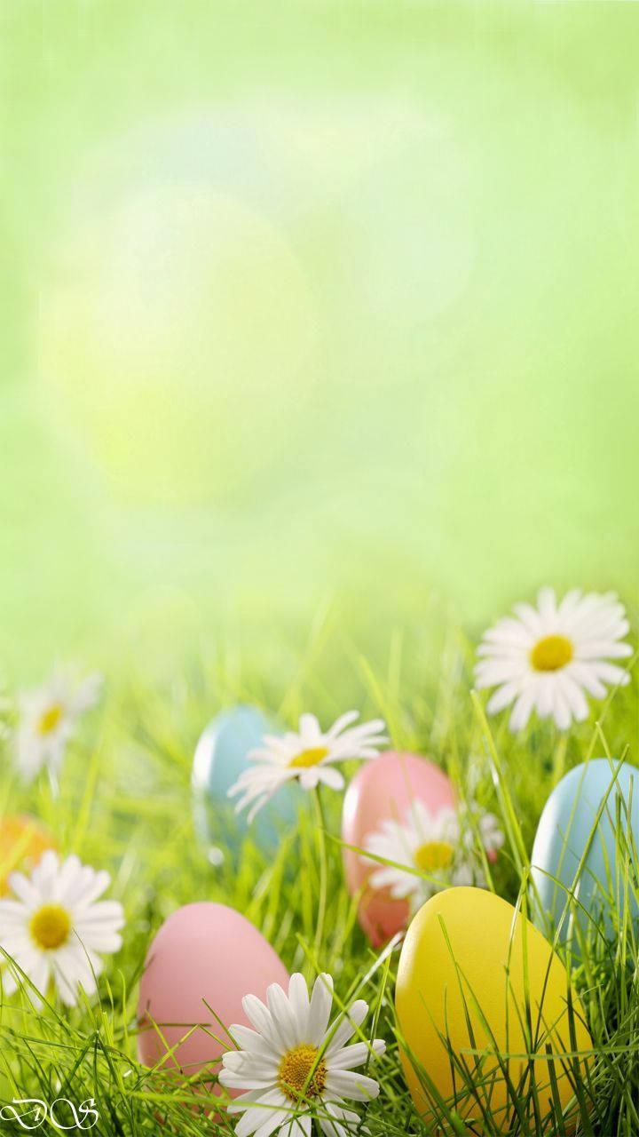 Colorful Decorations For Easter Wallpaper