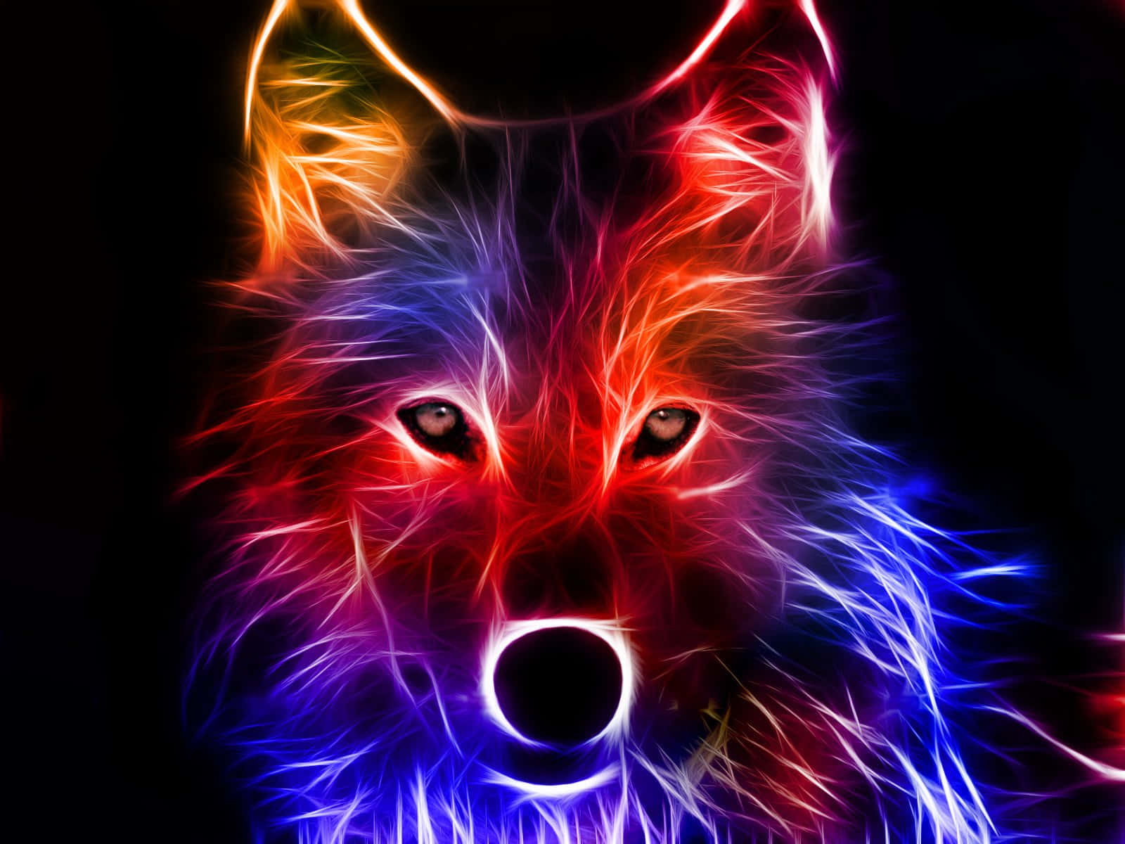 Colorful Epic Wolves Head Wallpaper