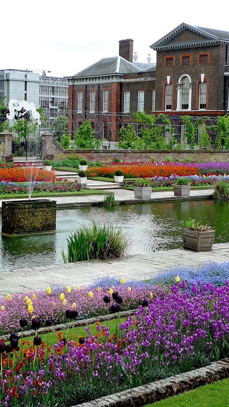 Colorful Flowers At Kensington Palace Wallpaper