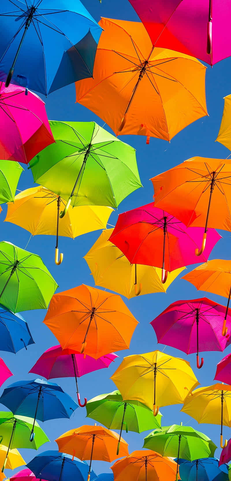 Colorful Umbrella Canopy Sky Wallpaper