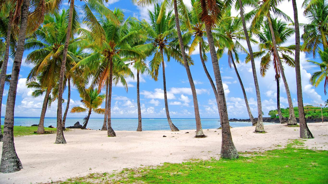 Comoros Beach Surrounded By Tall Trees Wallpaper