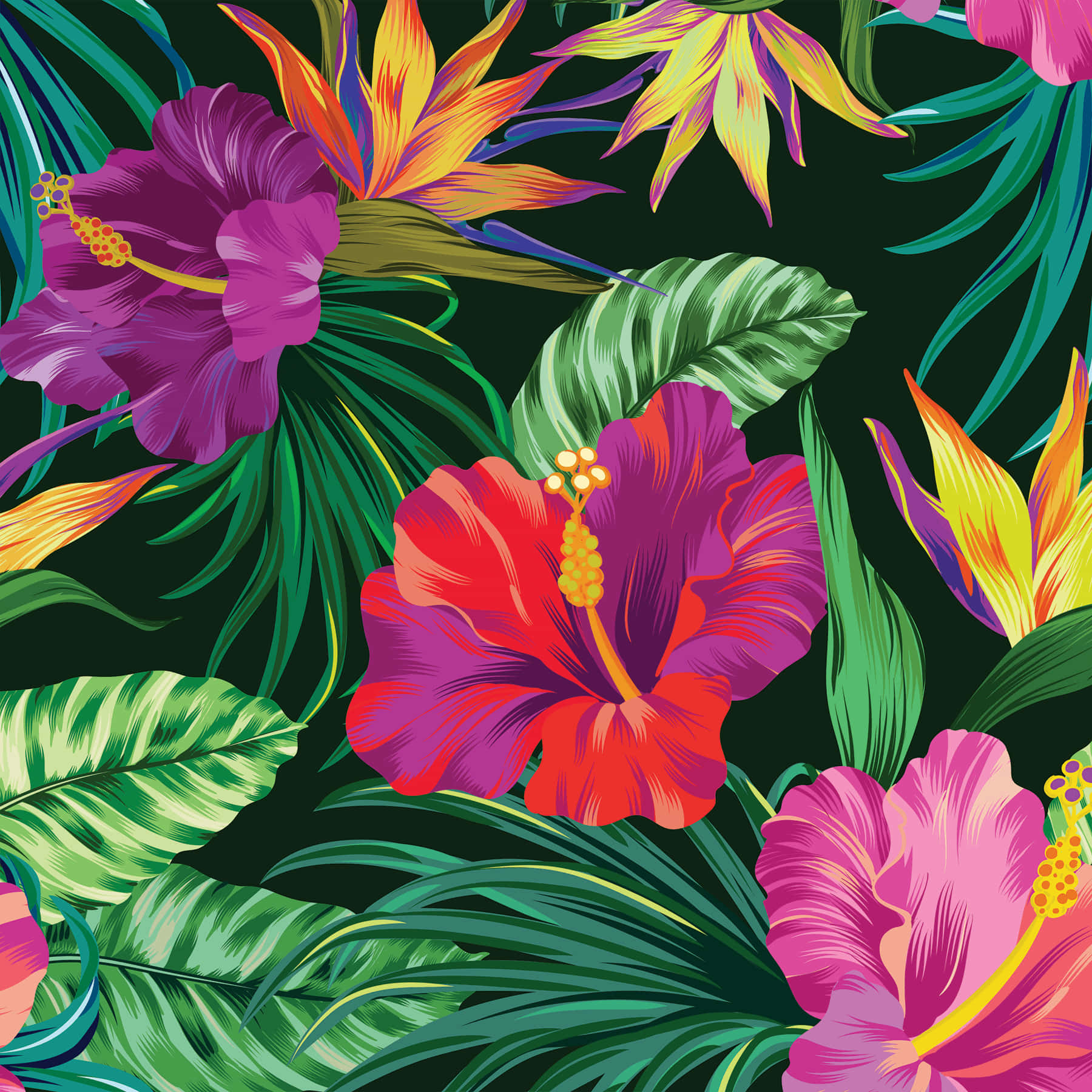 Cool Artwork Of Hibiscus Flower Wallpaper