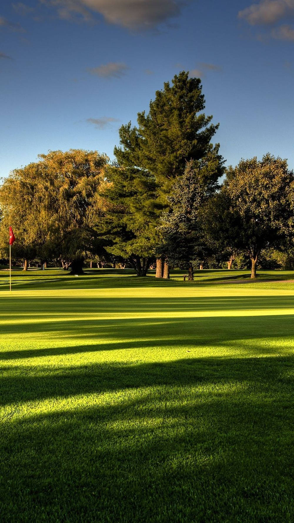 Cool Golf Course Out Of Bounds In Georgia Wallpaper