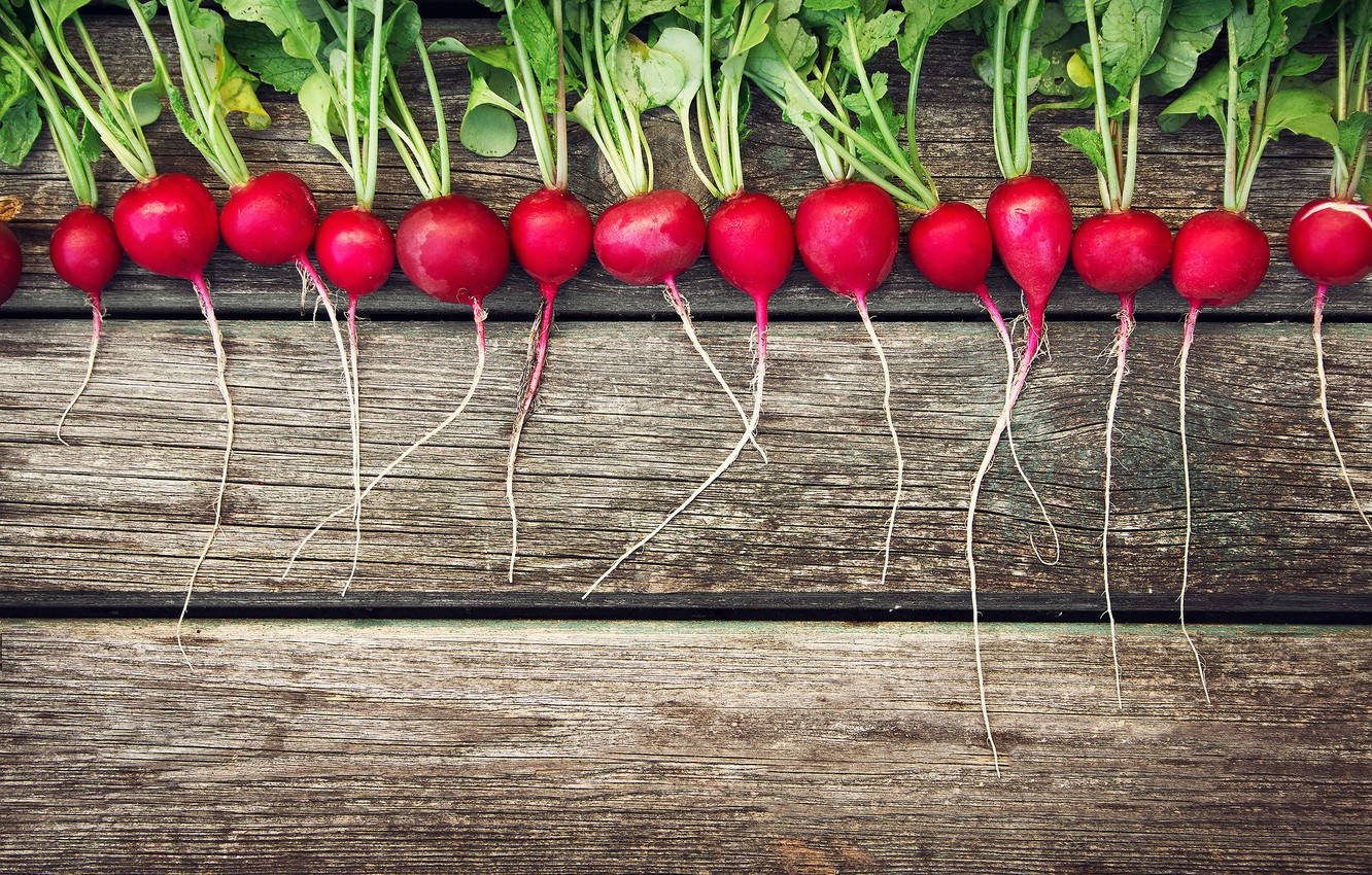 Cool Plump Radish Flat Lay Wallpaper