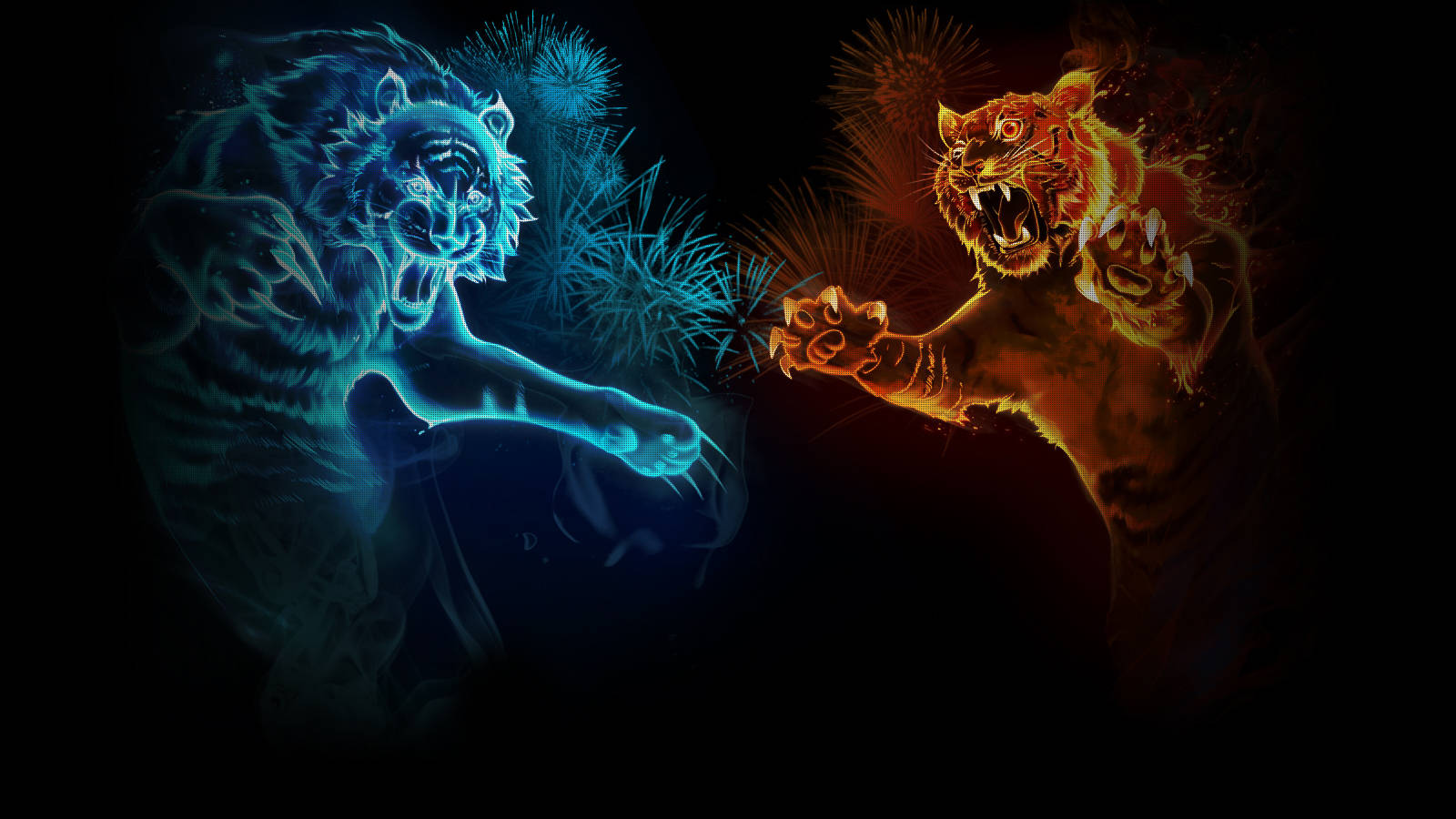 Cool Tiger Fighting Wallpaper