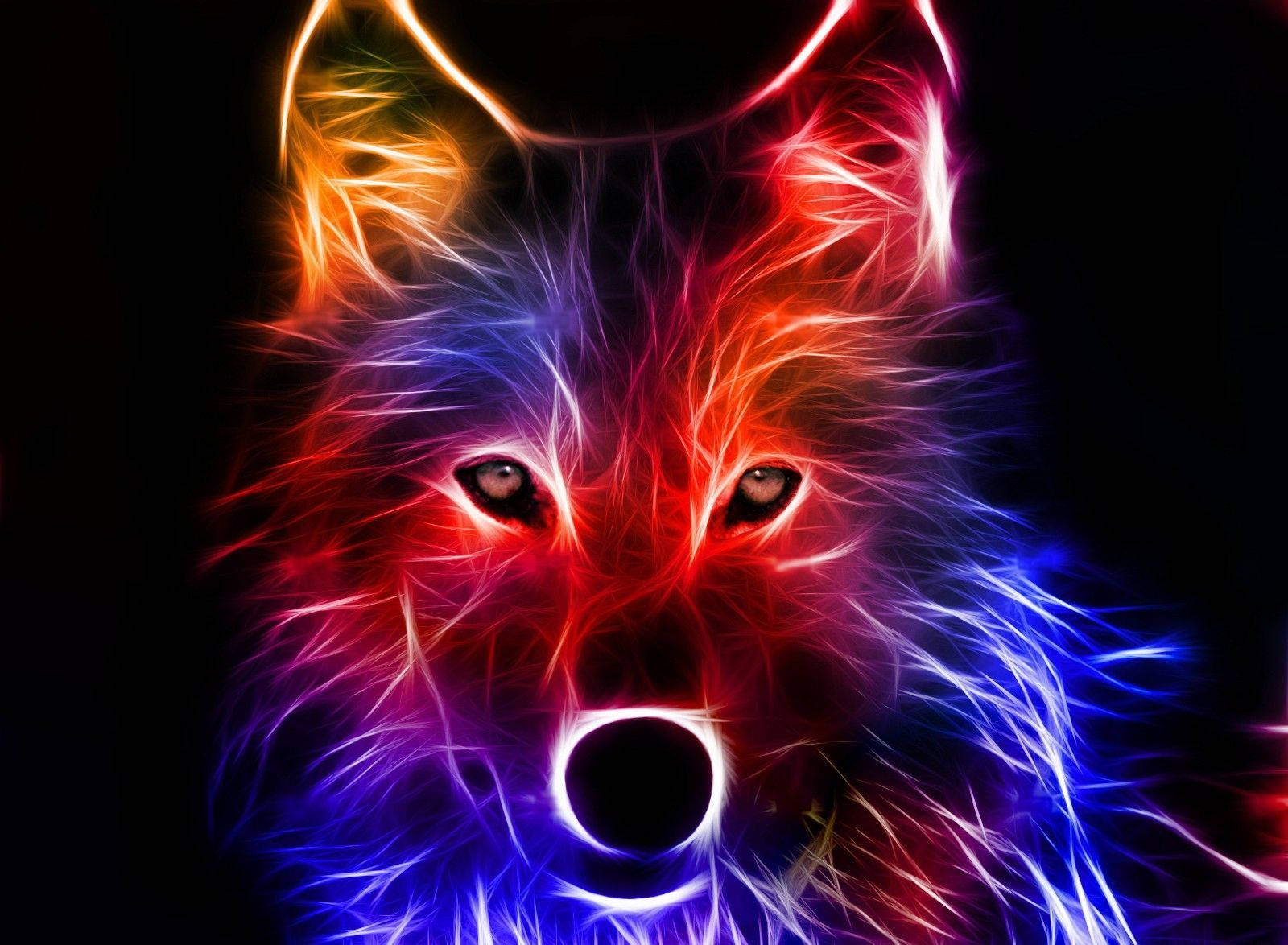 Coolest Neon Fox Wallpaper