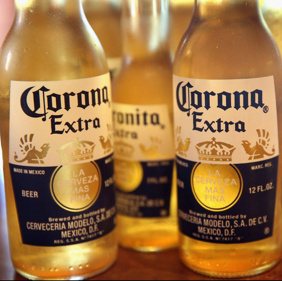 Corona Extra Mexican Brew Wallpaper