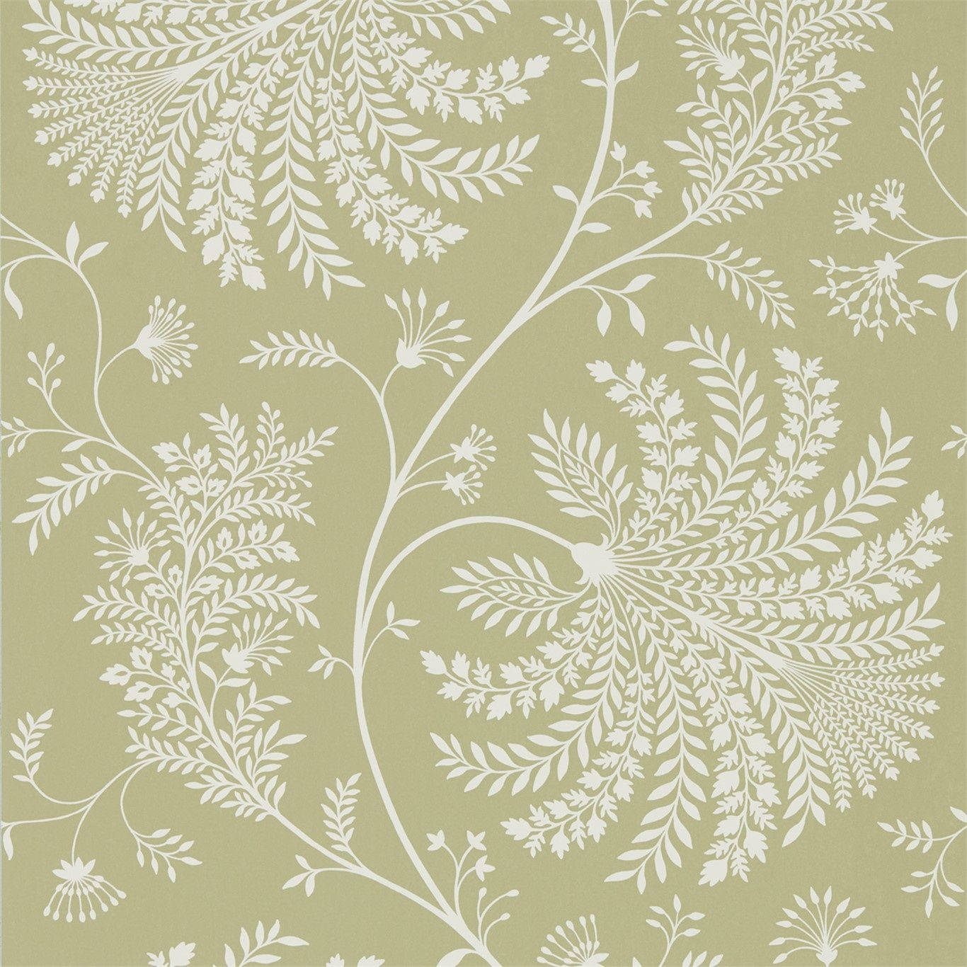 Cream Green Mapperton Wallpaper