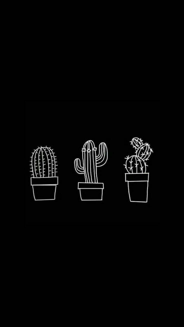 Cute Black Cactus Aesthetic Wallpaper