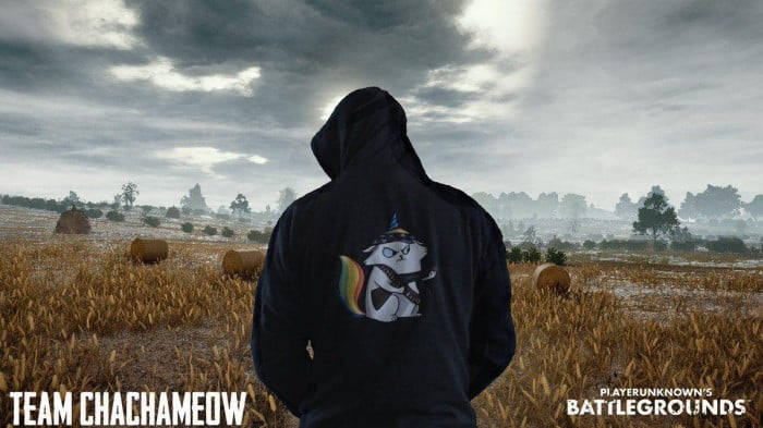 Cute Cat Hoodie Pubg Banner Wallpaper