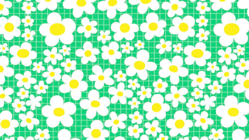 Cute Daisy Aesthetic Computer Green Wallpaper