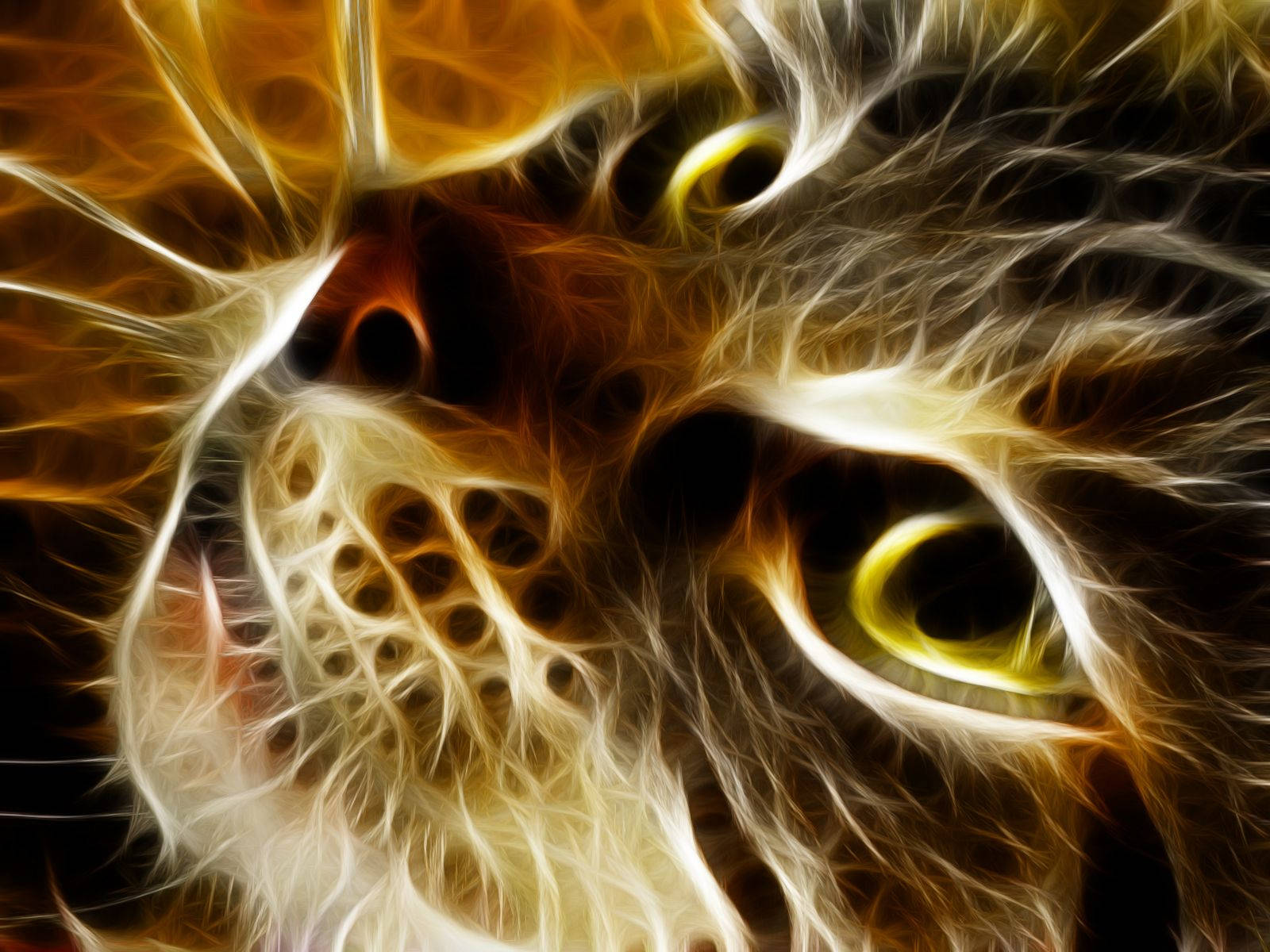 Cute Kitty Digital Art Wallpaper