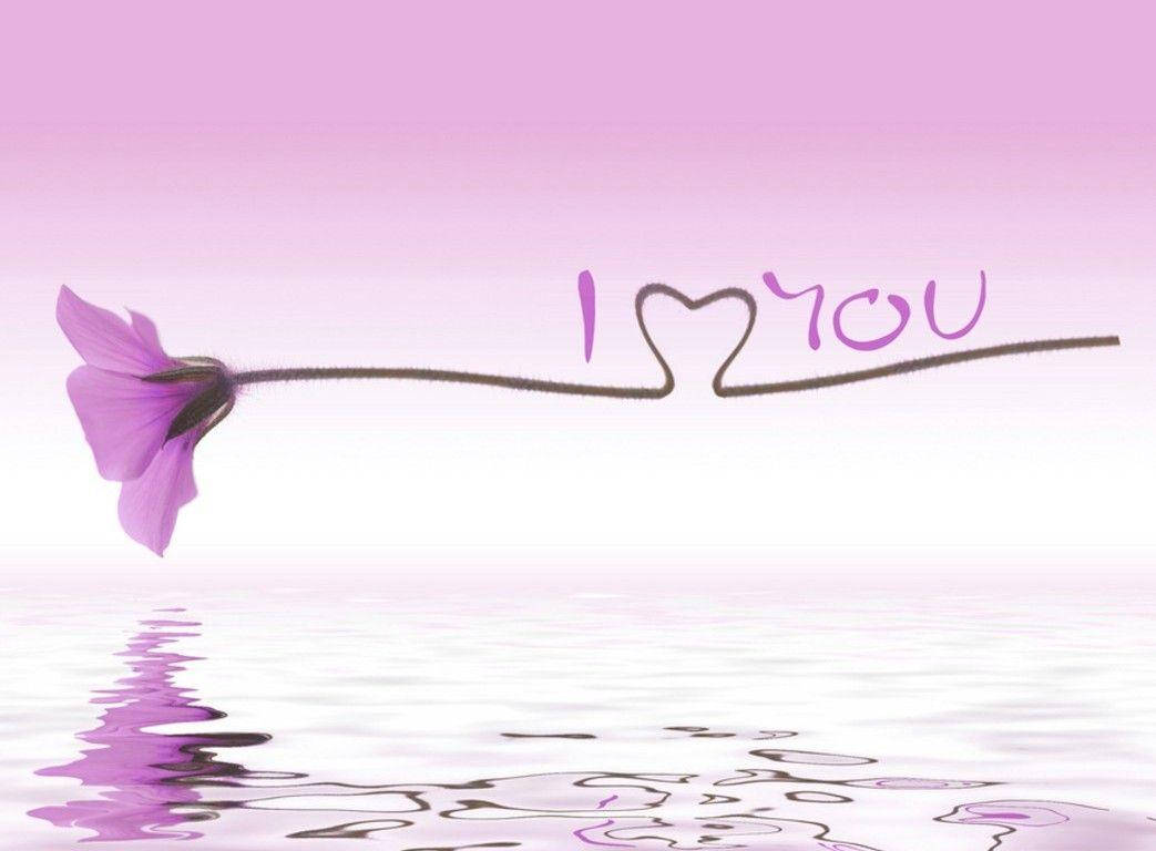 Cute Love Purple Rose Wallpaper
