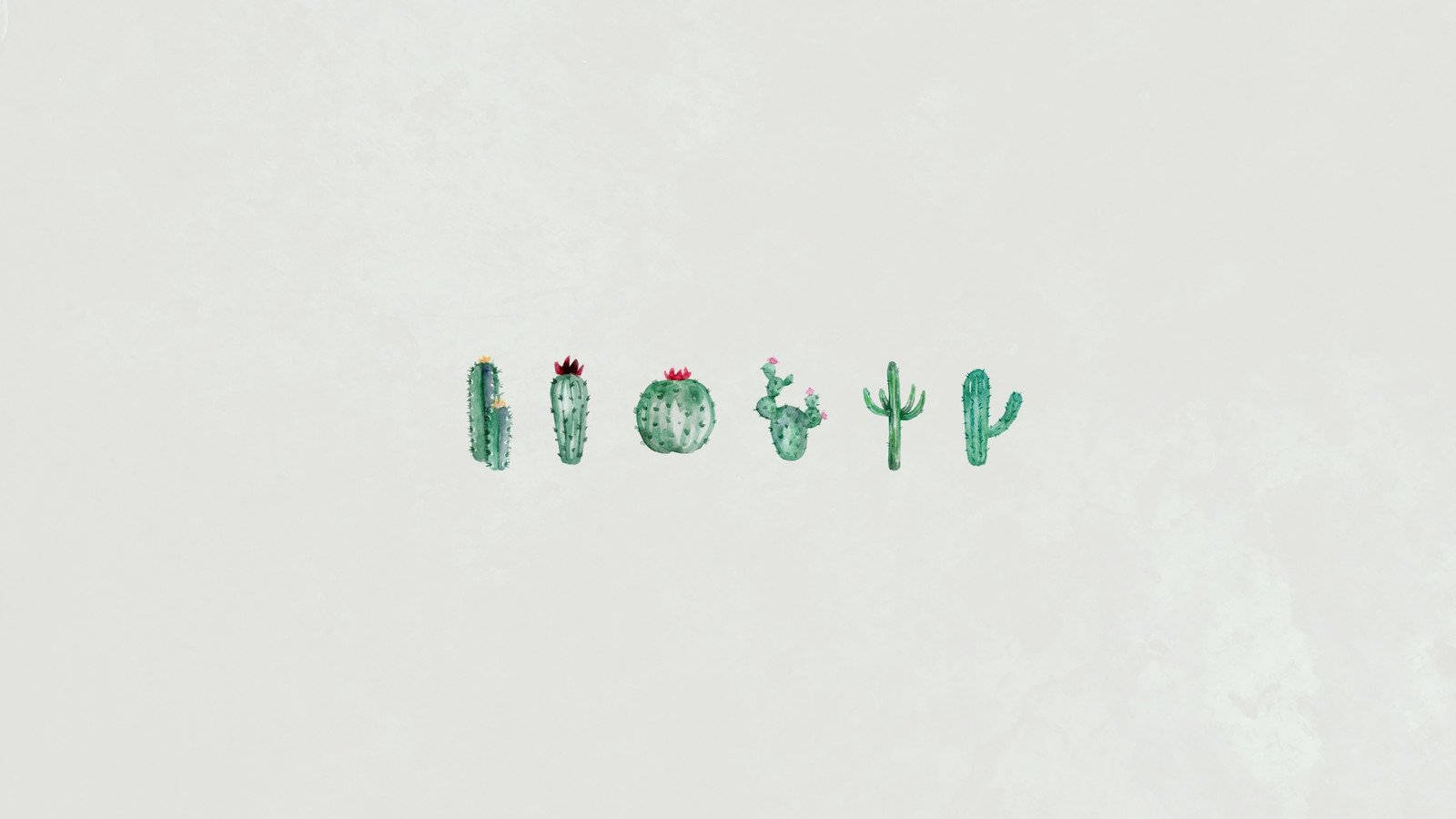 Cute Minimalist Cactus Wallpaper