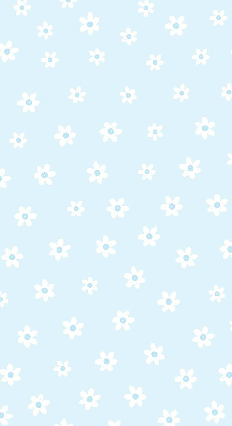 Cute Pastel Blue Aesthetic White Flowers Wallpaper