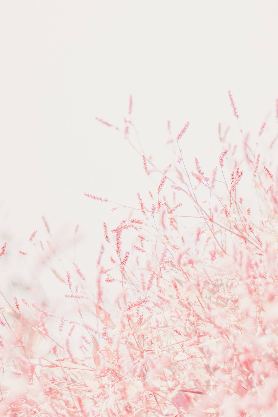 Cute Pastel Pink Grains Wallpaper