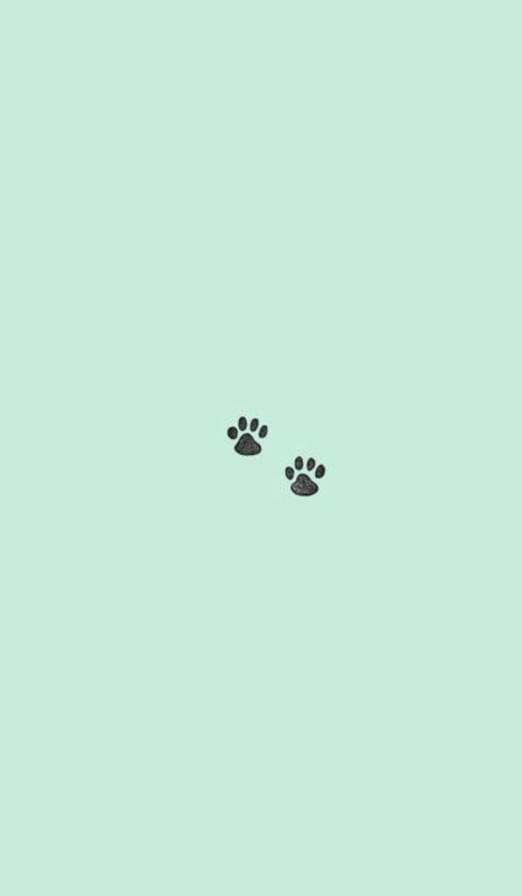 Cute Paw Prints On Mint Green Iphone Wallpaper