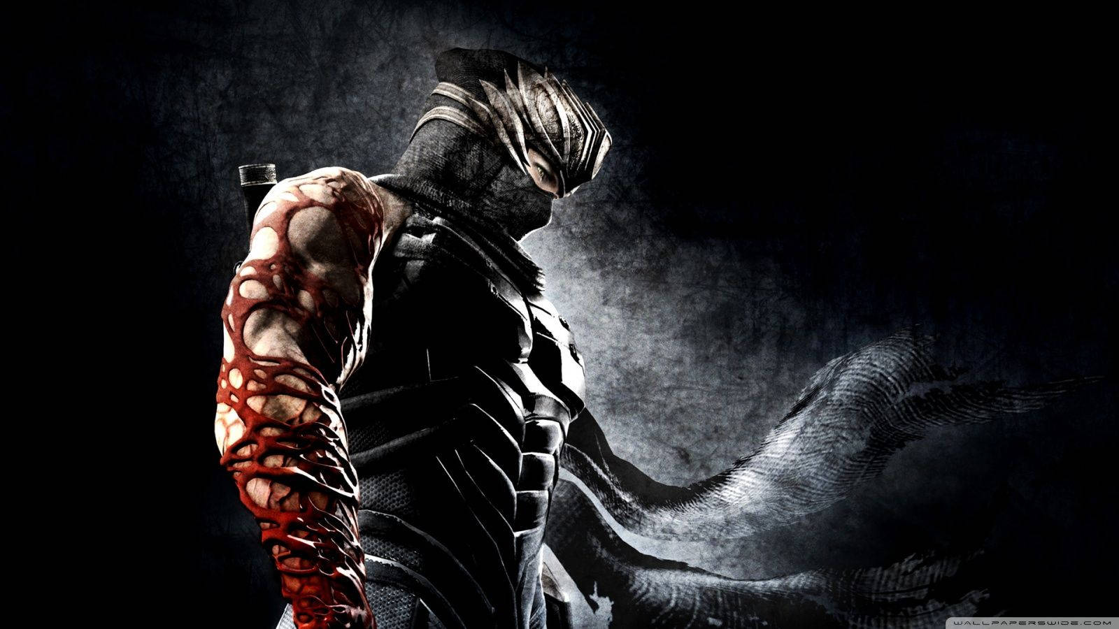 Cyber Arm Ninja Gaiden 3 Wallpaper