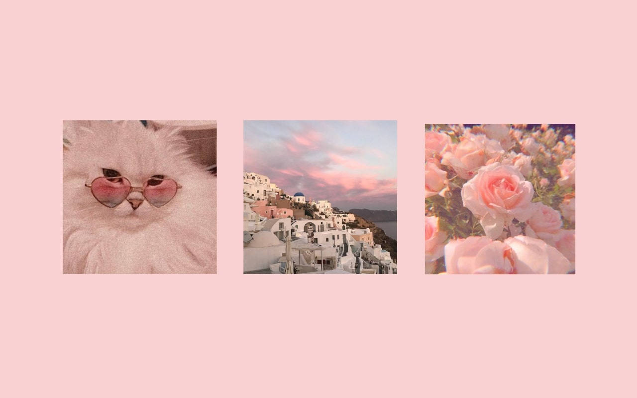 Dainty Pink Pinterest Laptop Wallpaper