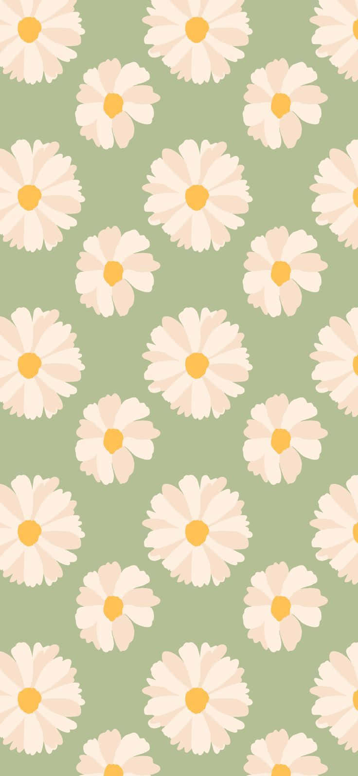 Daisy Pattern Green Background Wallpaper