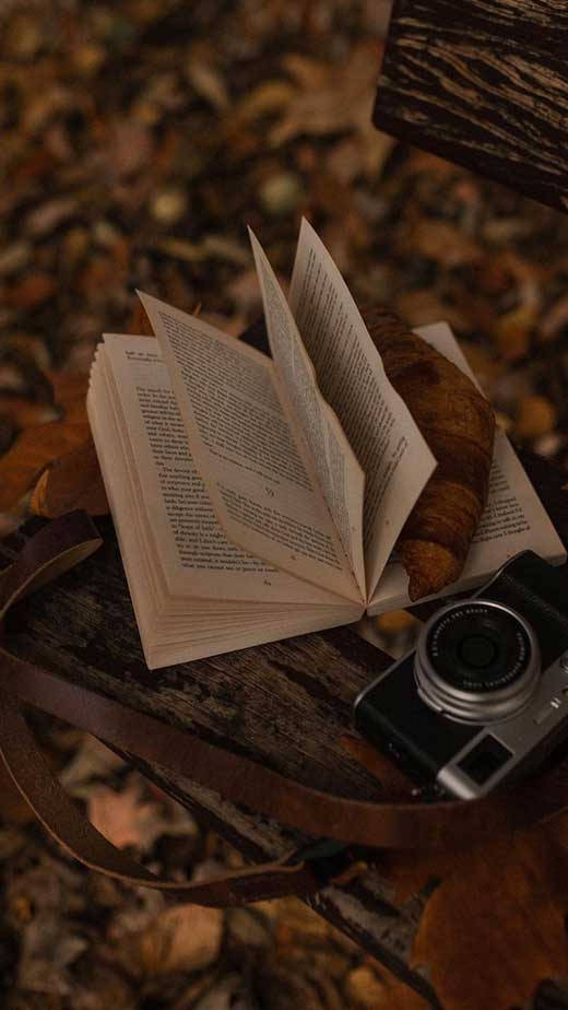 Dark Brown Aesthetic Book And Camera Wallpaper