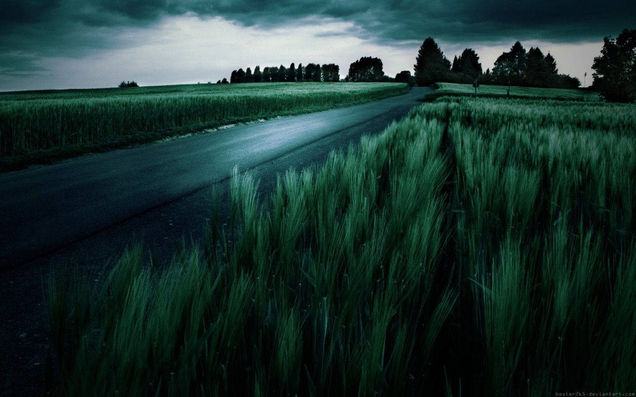 Dark Green Field Aesthetic Wallpaper