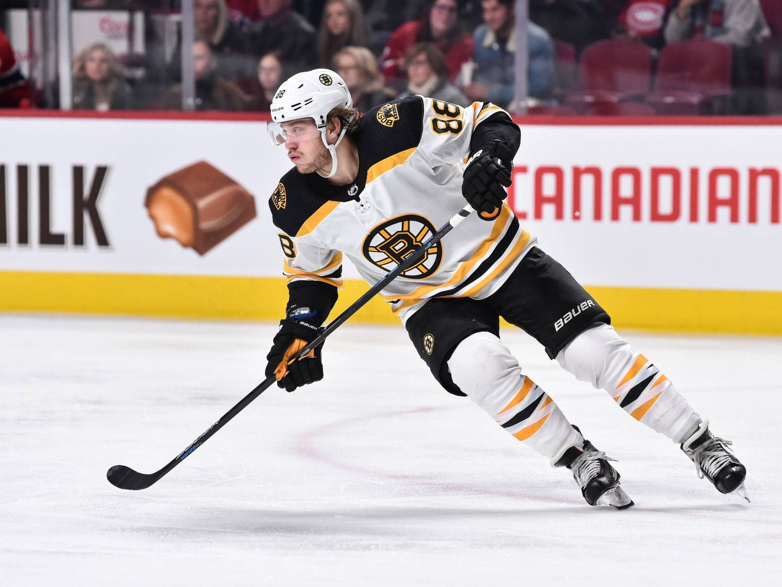 David Pastrnak Boston Bruins Vs. Washington Capitals Wallpaper