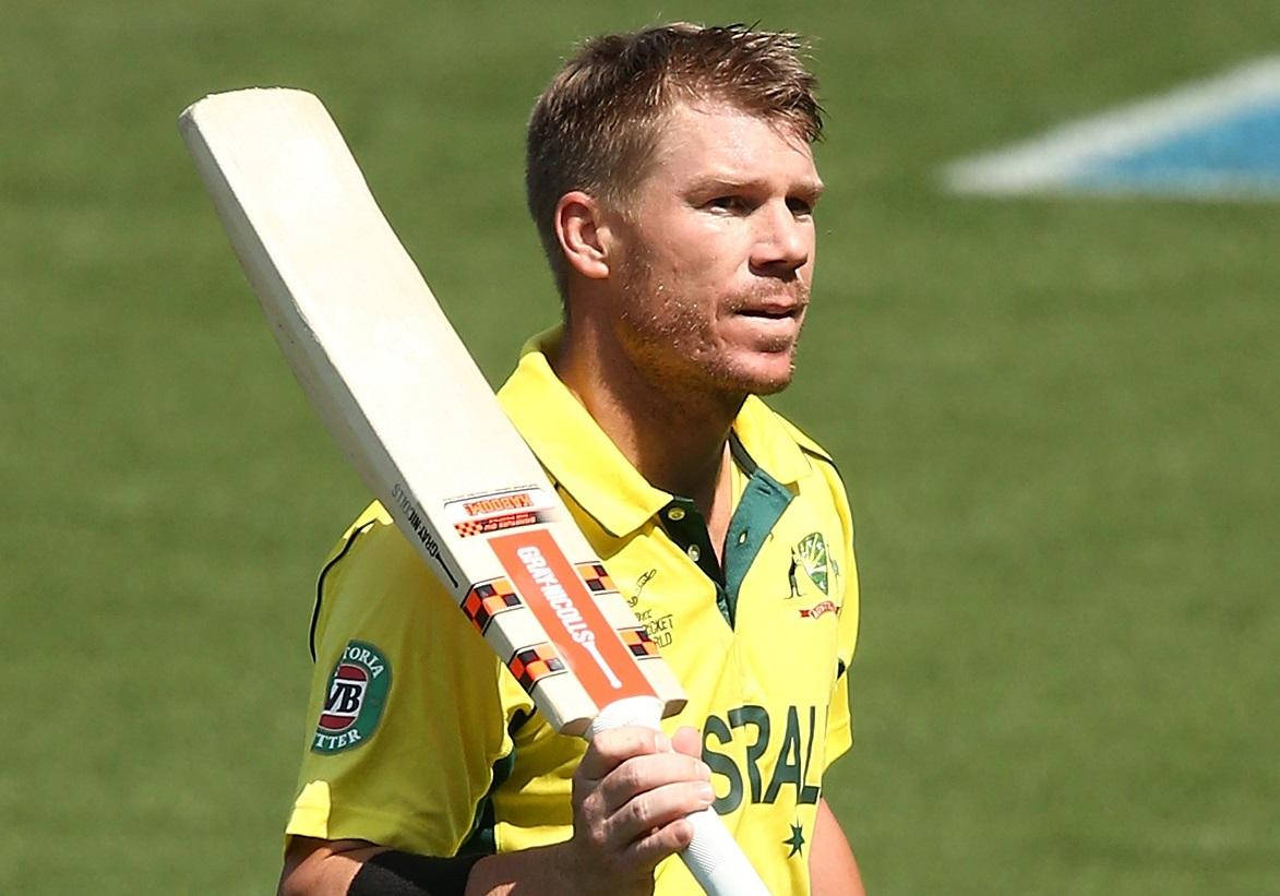 David Warner Bright Sunlight Wallpaper