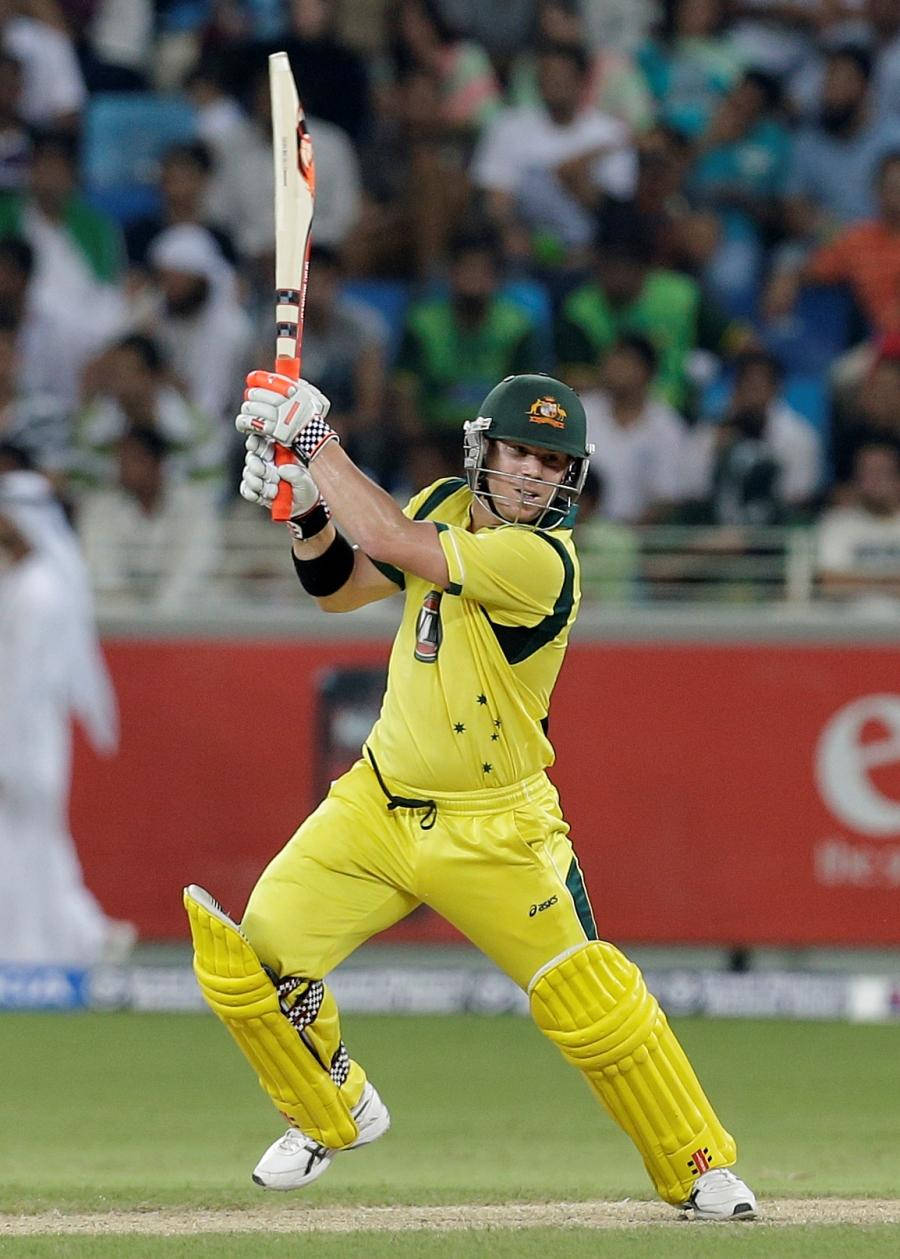 David Warner In Position Wallpaper