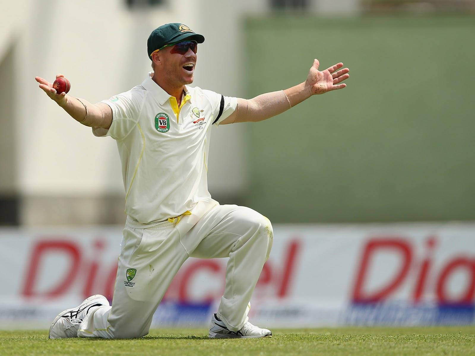 David Warner Kneeling Wallpaper