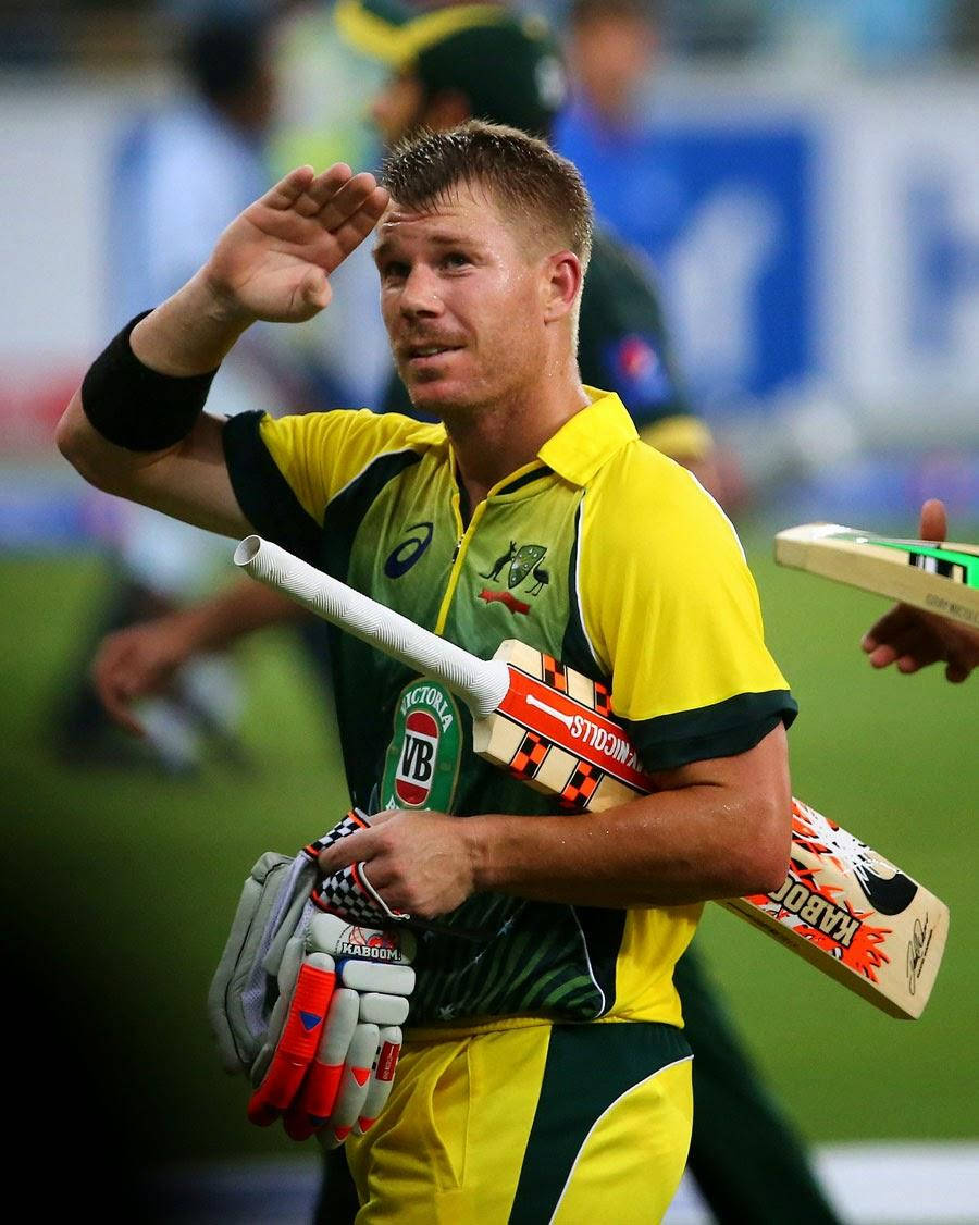 David Warner Portrait Wallpaper