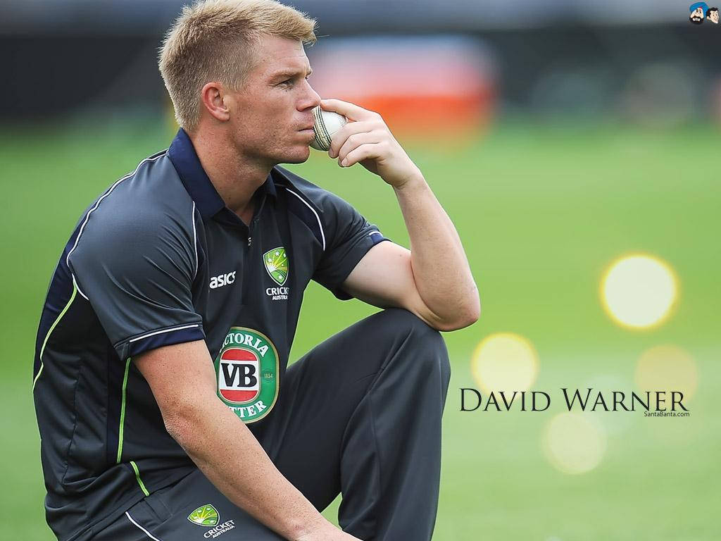 David Warner Sitting Wallpaper