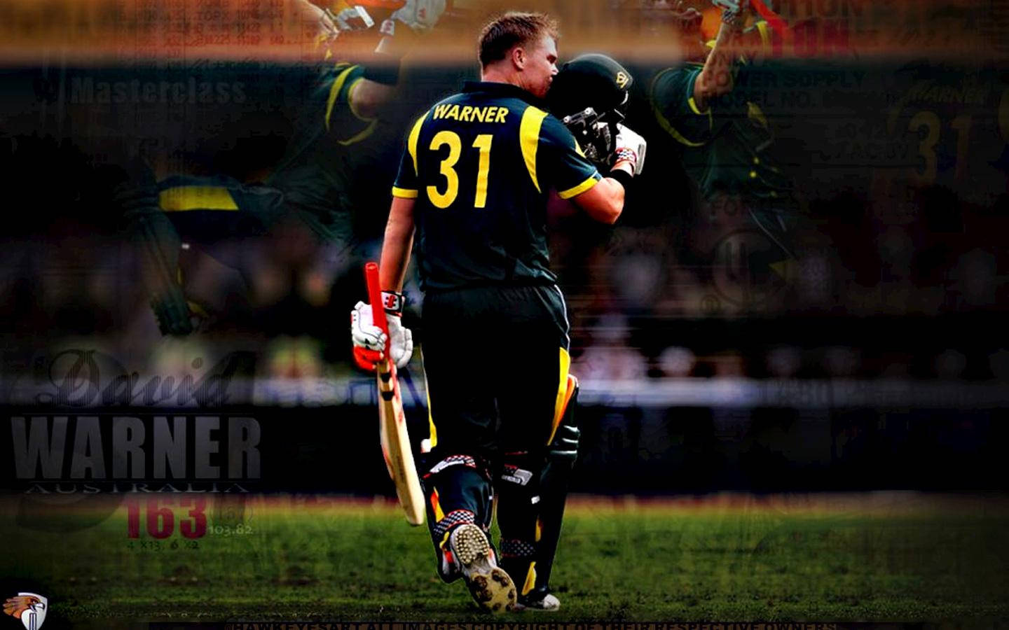 David Warner Tuned Back Wallpaper