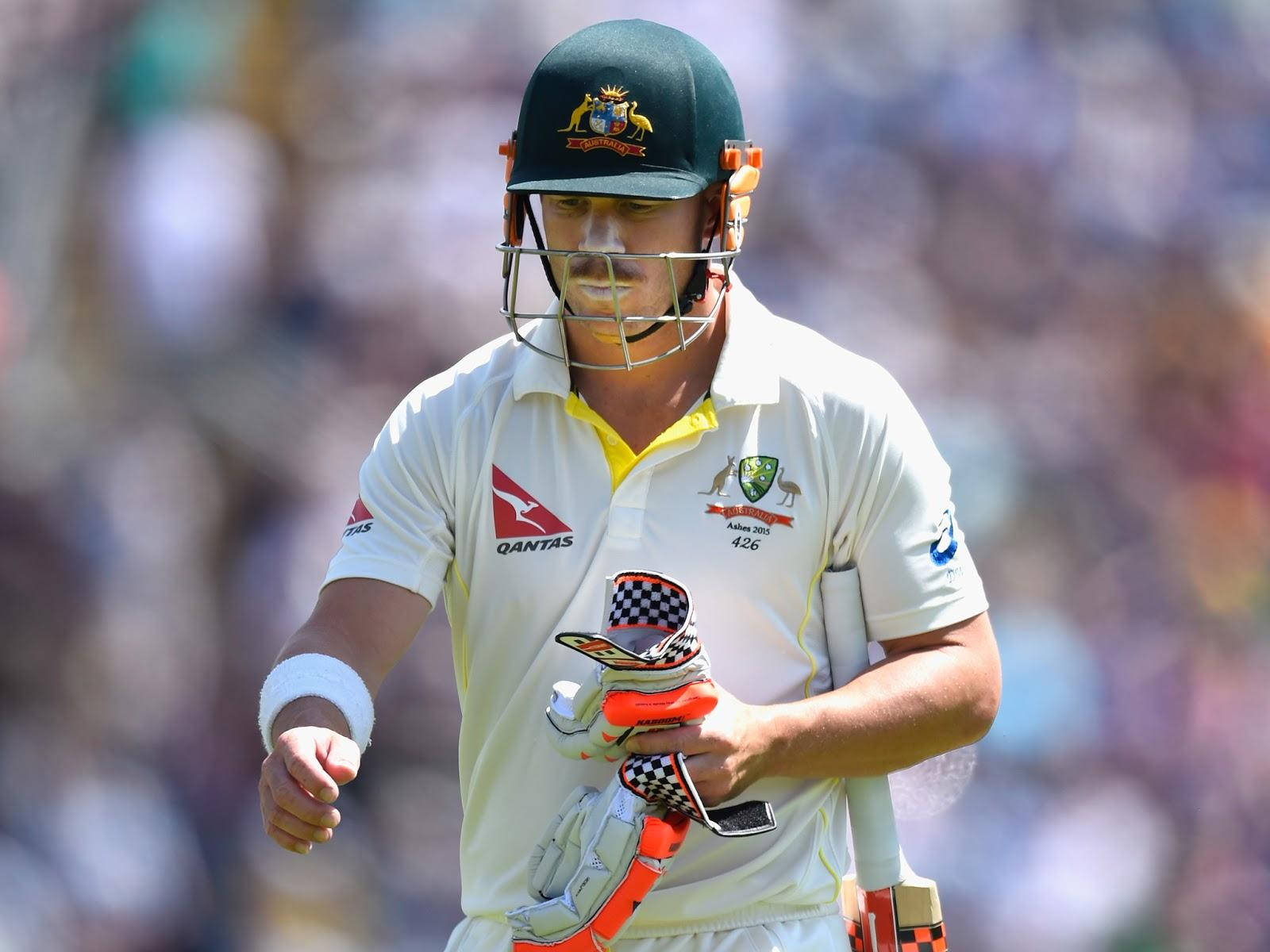 David Warner Wearing Helmet Wallpaper