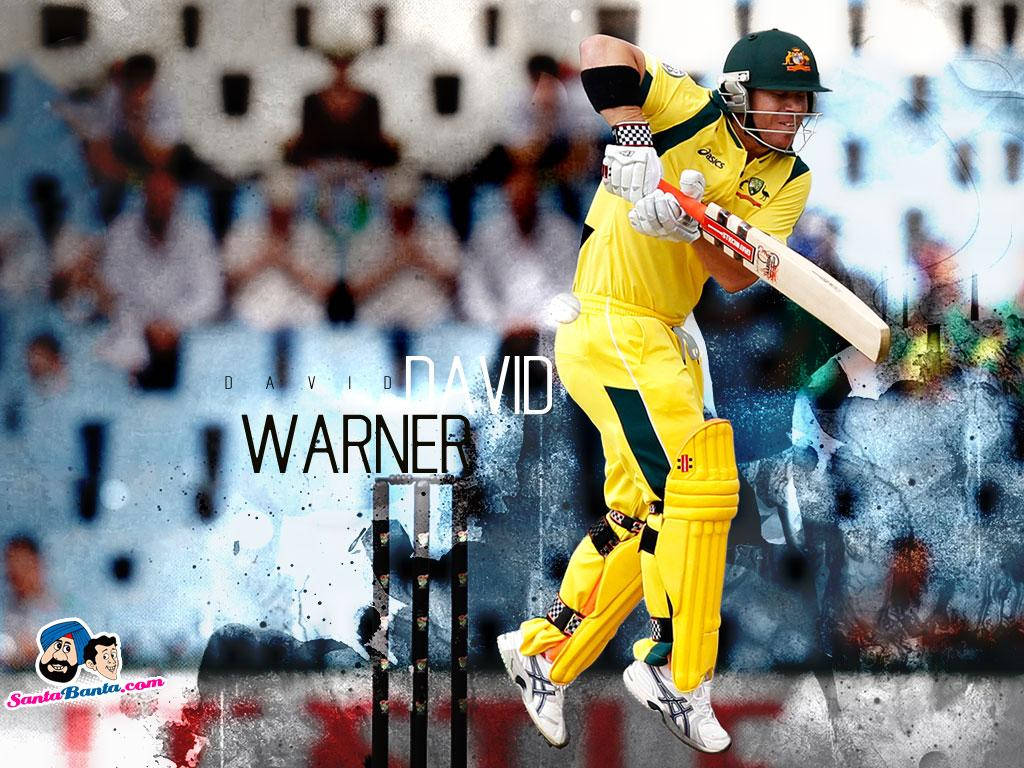 David Warner With Name Wallpaper