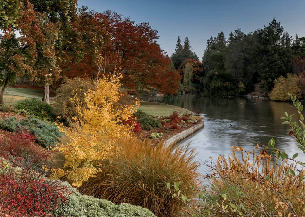 Davis Arboretum Greater Sacramento Wallpaper