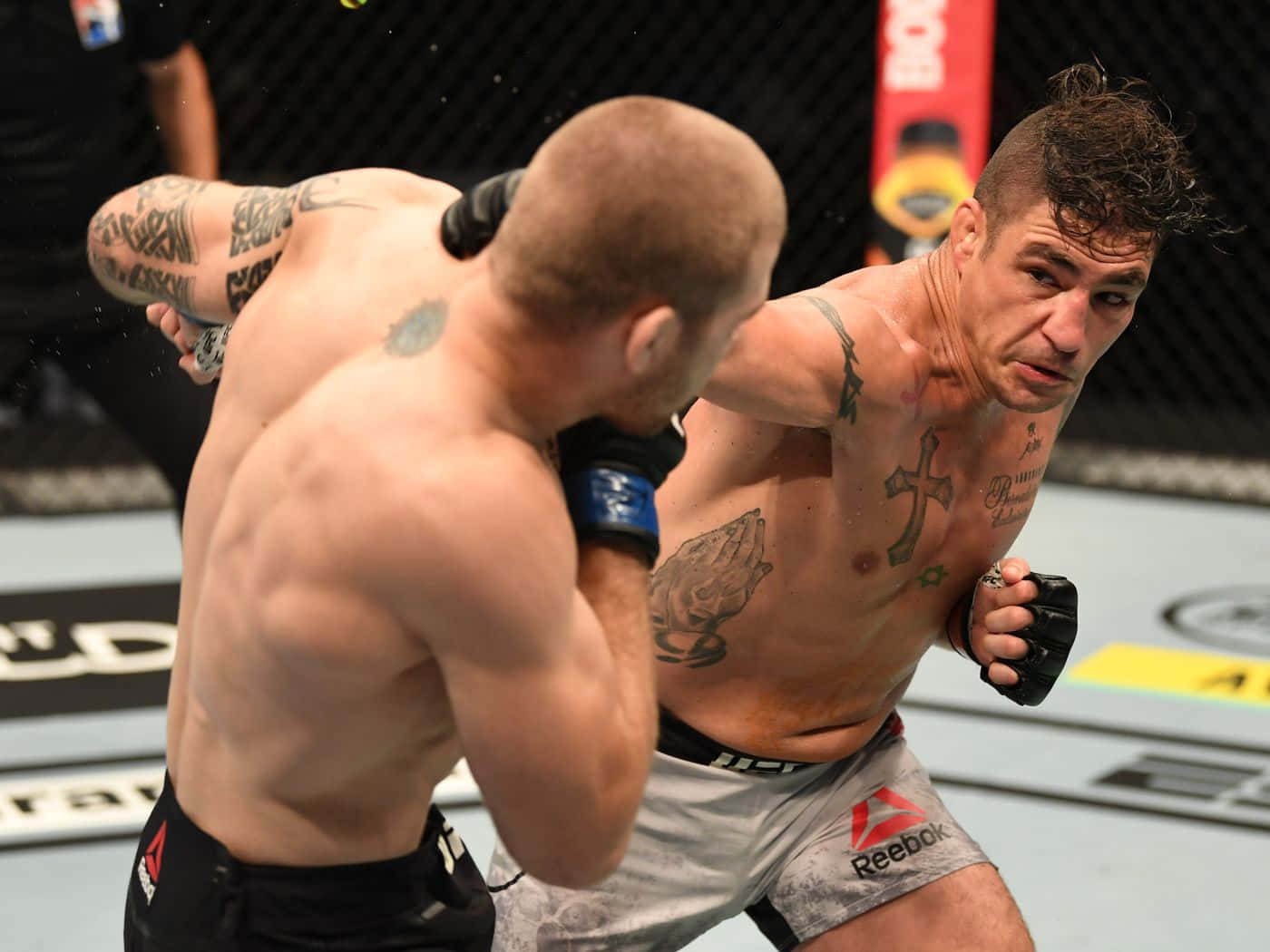 Diego Sanchez Fighting Jake Matthews Wallpaper