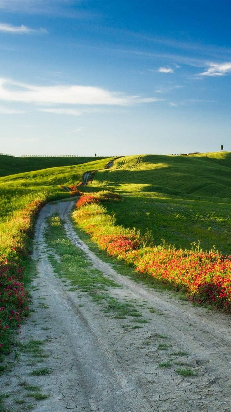 Dirt Road In Tuscany Italy Wallpaper