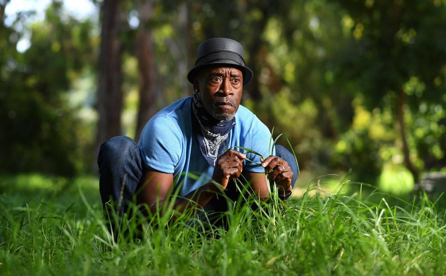 Don Cheadle On Grass Wallpaper