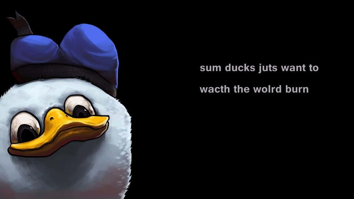 Donald Duck Meme Desktop Wallpaper