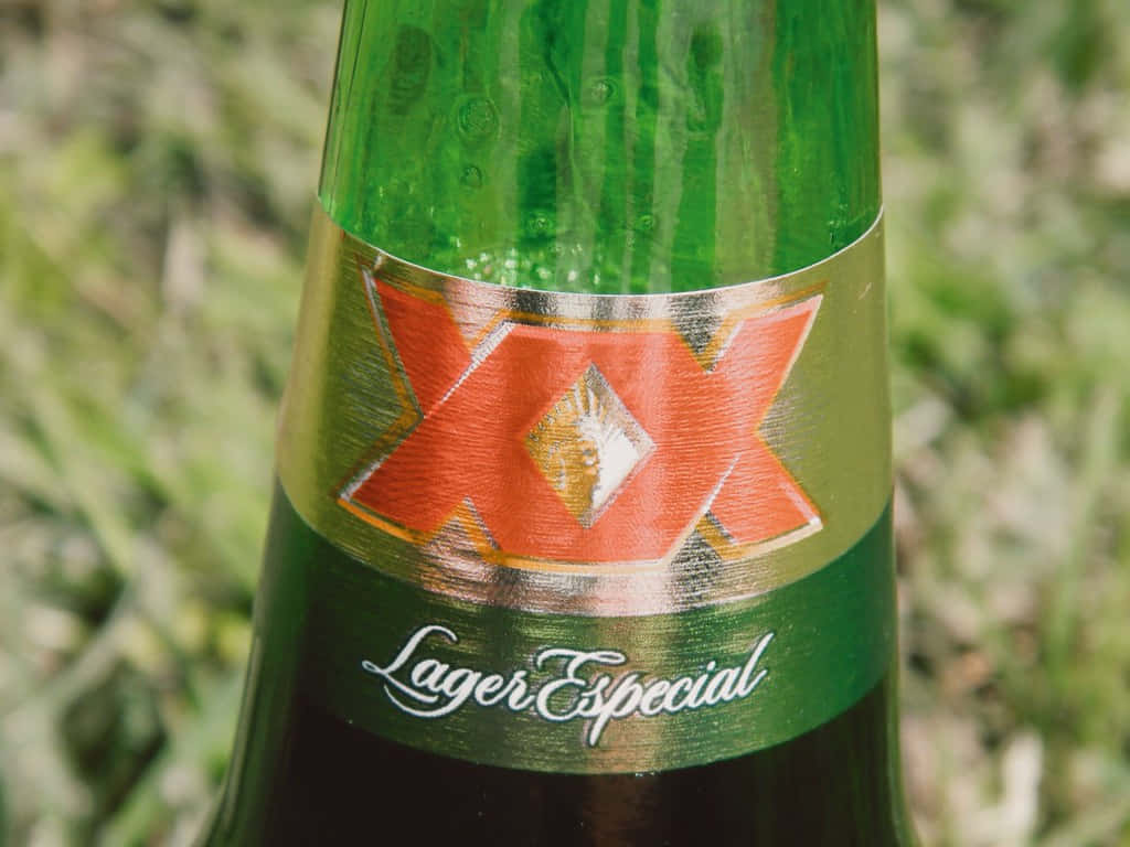 Dos Equis Lager Especial Bottle Wallpaper