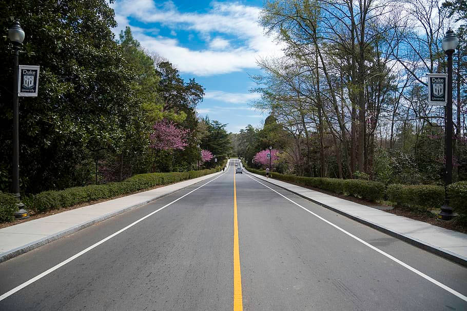 Driveway Near Duke Gardens In Durham Wallpaper