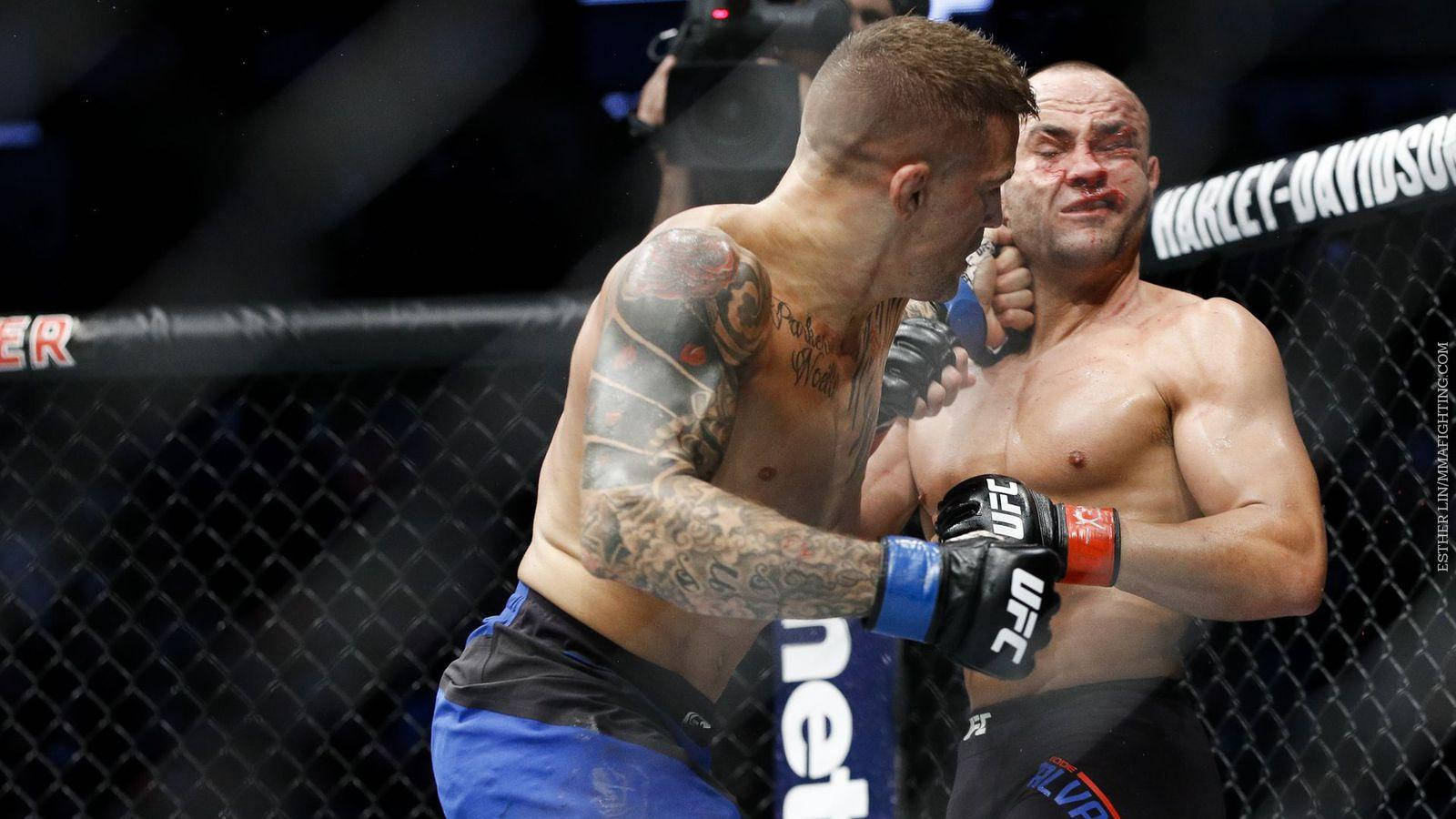 Dustin Poirier Punches Opponent Neck Wallpaper