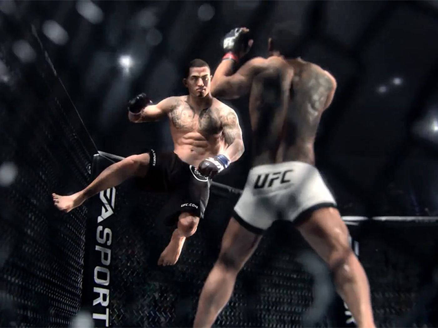 Ea Sports Ufc Action Game 4k Wallpaper