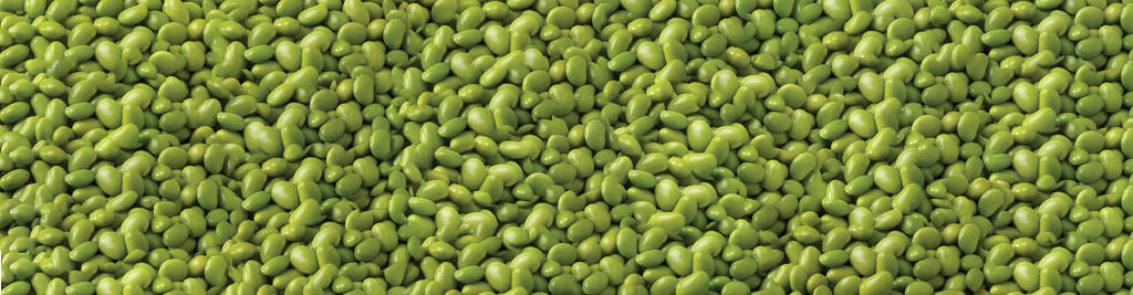 Edamame Beans Shelled Wallpaper