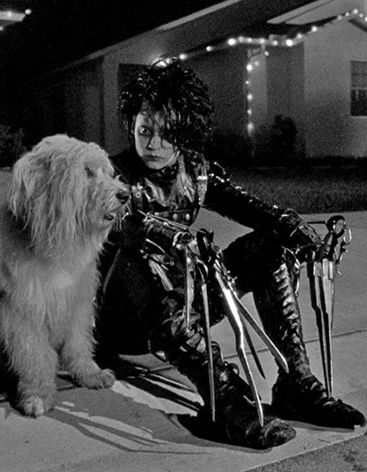 Edward Scissorhands With A Dog Wallpaper