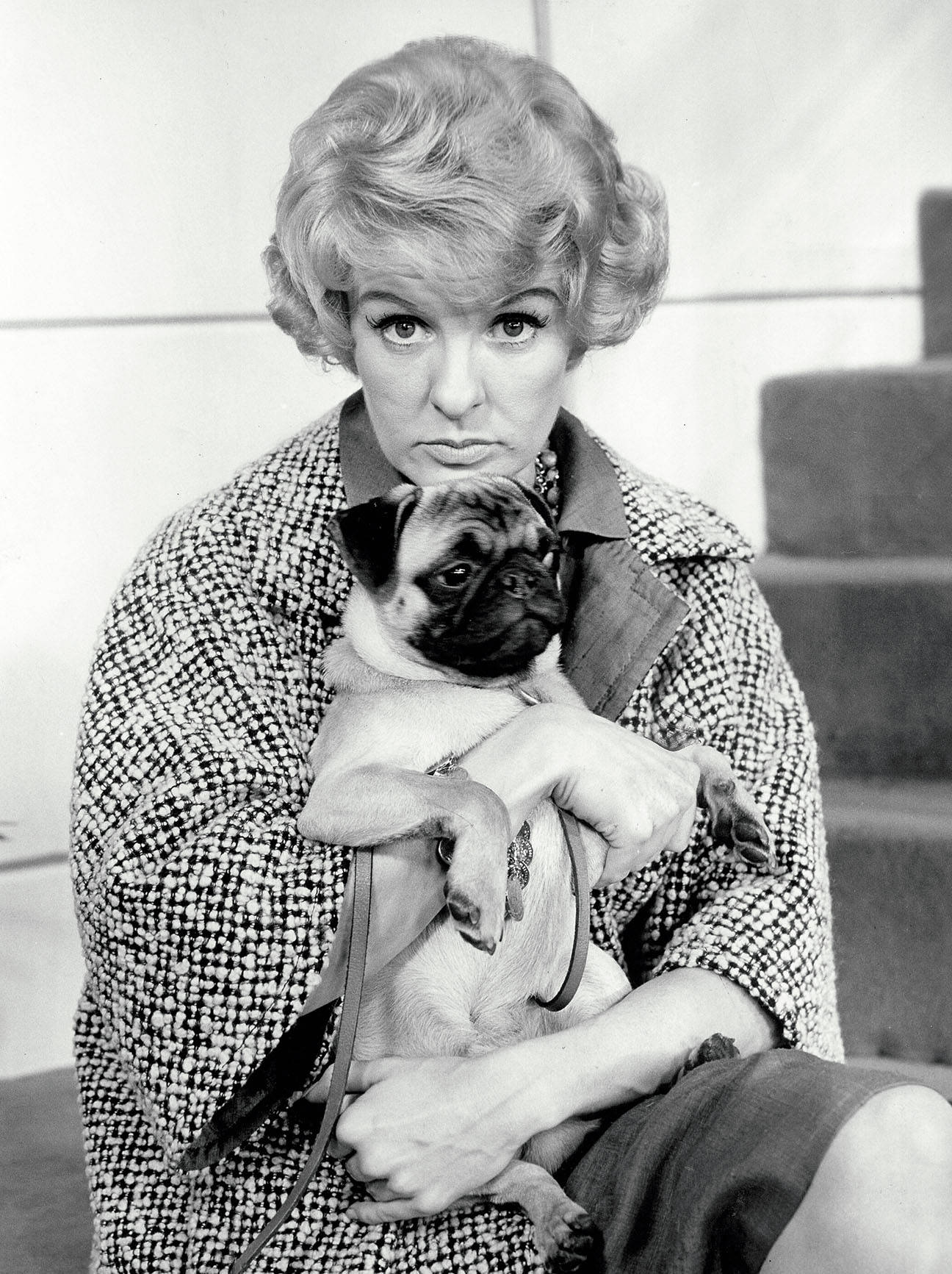 Elaine Stritch Vintage Portrait With A Dog Wallpaper