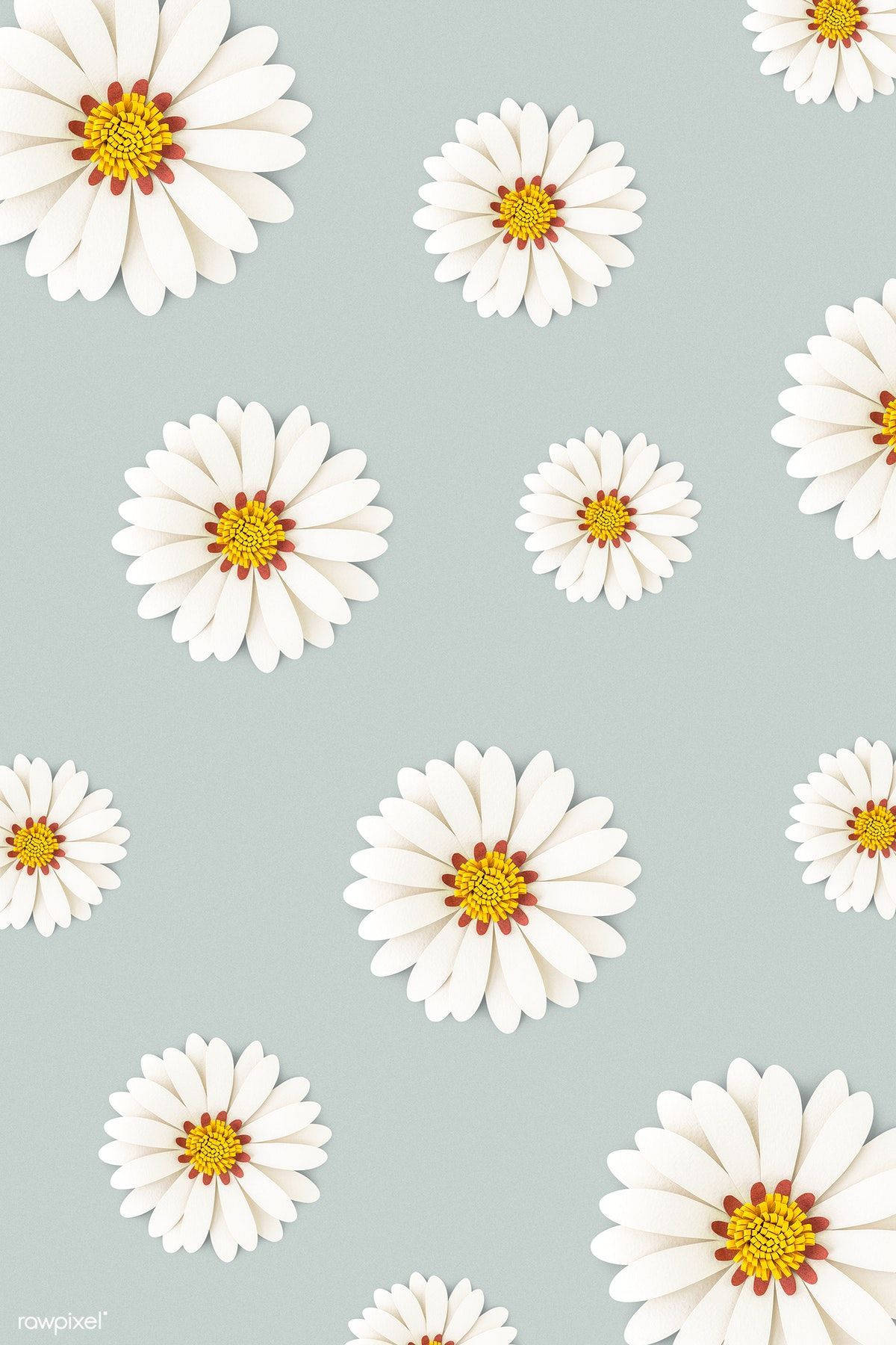 Elegant Gray Daisy Wallpaper For Smartphone Wallpaper